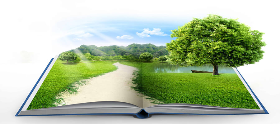 Create a Dog Adventure Journal A Guide to Documenting Your Trips with Your Pup